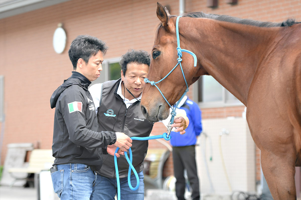 現役ジョッキーの姿も ！美浦トレセンで「ナチュラルホースマンシップ