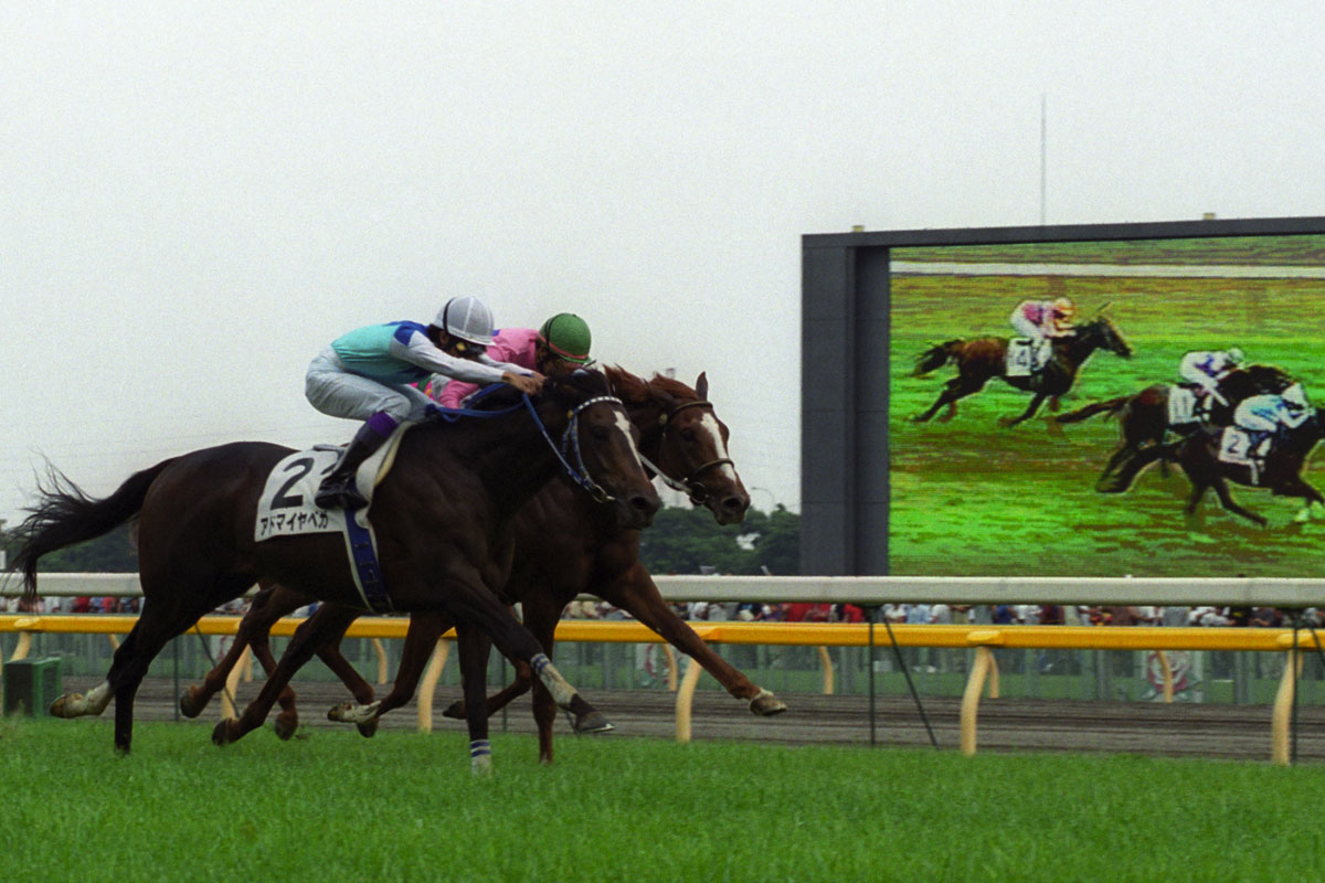 四半世紀前のダービー馬！ アドマイヤベガを「東スポ」で振り返る