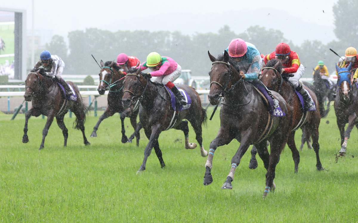 ドウデュース 宝塚記念 馬券 ドウデュース 宝塚記念 馬券