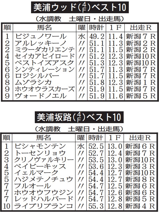 トレセン調教トップ10】美浦ウッドで快伸！土曜新潟7Rの注目馬