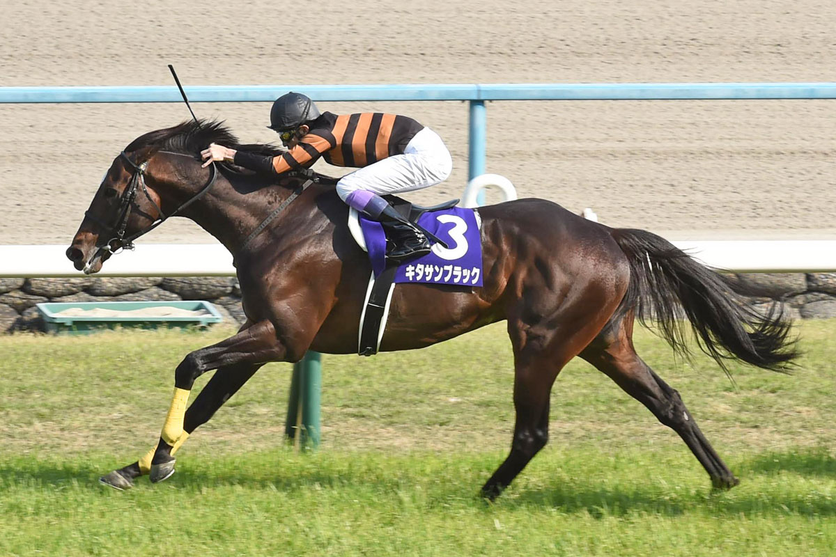 白井元調教師と学ぶ血統学【152】避けては通れないブラックタイド
