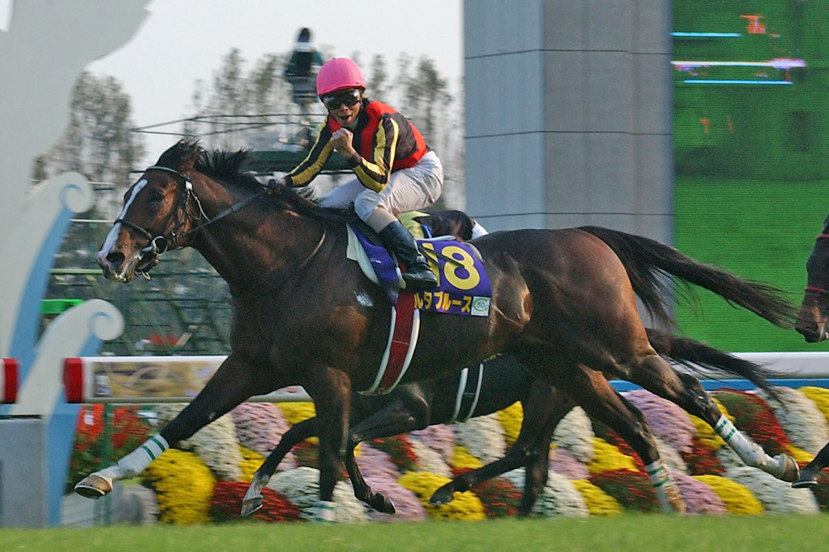 2004年の菊花賞馬デルタブルース死す 岩田康誠＆角居厩舎に初の 