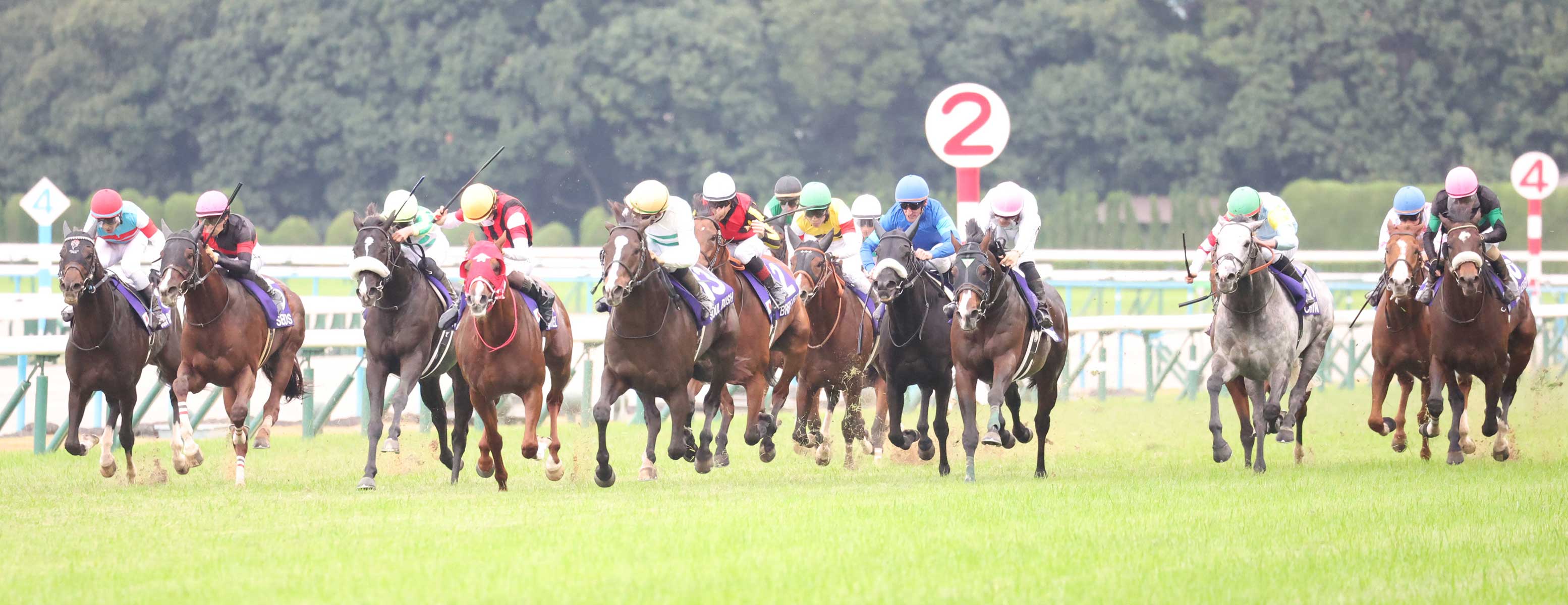 競馬 JRA ソウルラッシュ マイルチャンピオンシップ ポスター B1 ソウルラッシュが優勝、G1初制覇で重賞4勝目 競馬のマイルCS - 産経