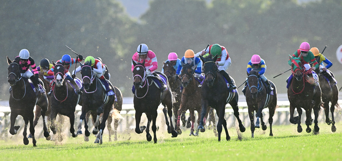 阪神ジュベナイルフィリーズ結果＆コメント】「最高でーす！」アルマ