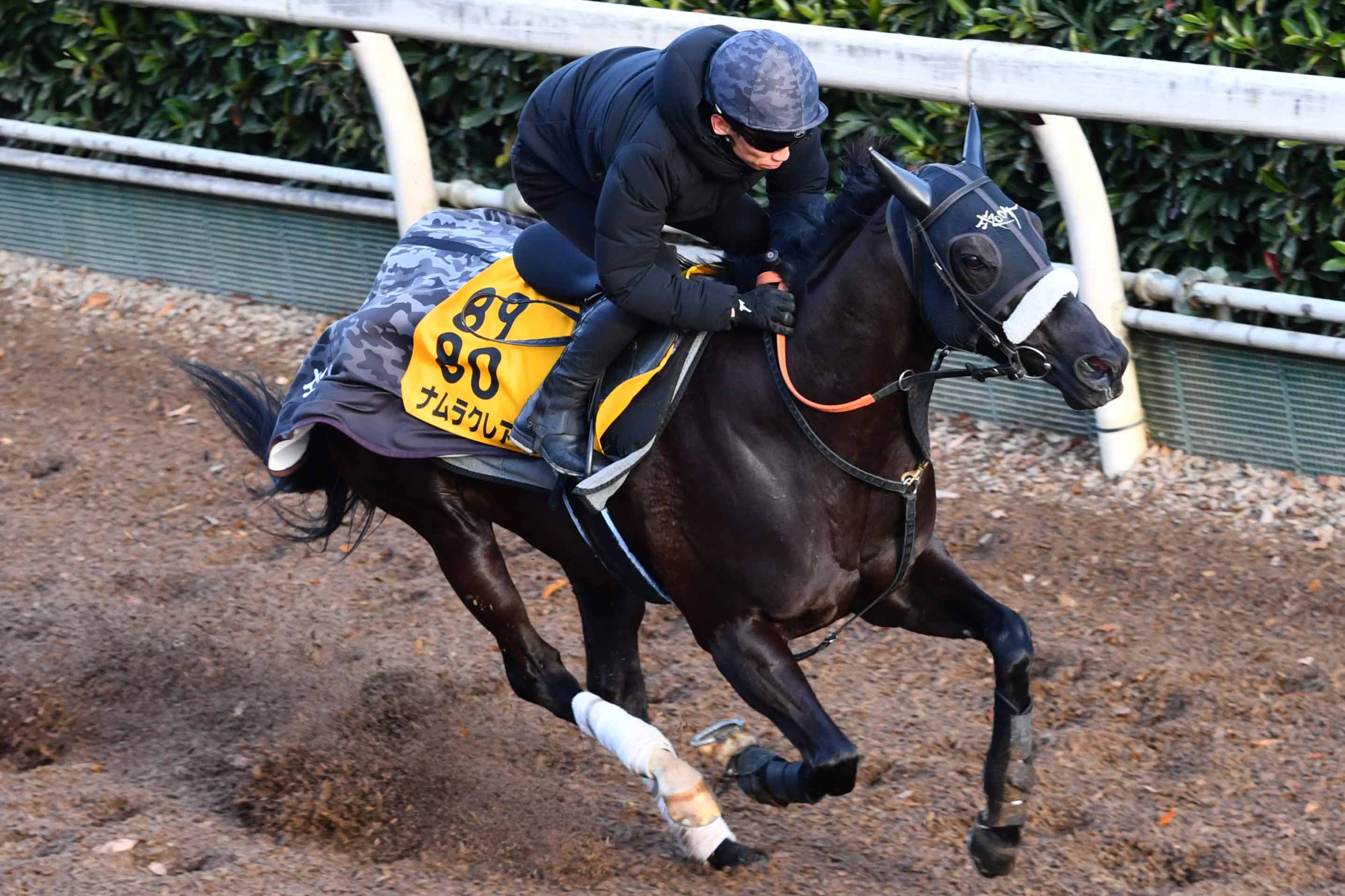 阪神カップ追い切り】ルメールと新コンビ結成のナムラクレアは