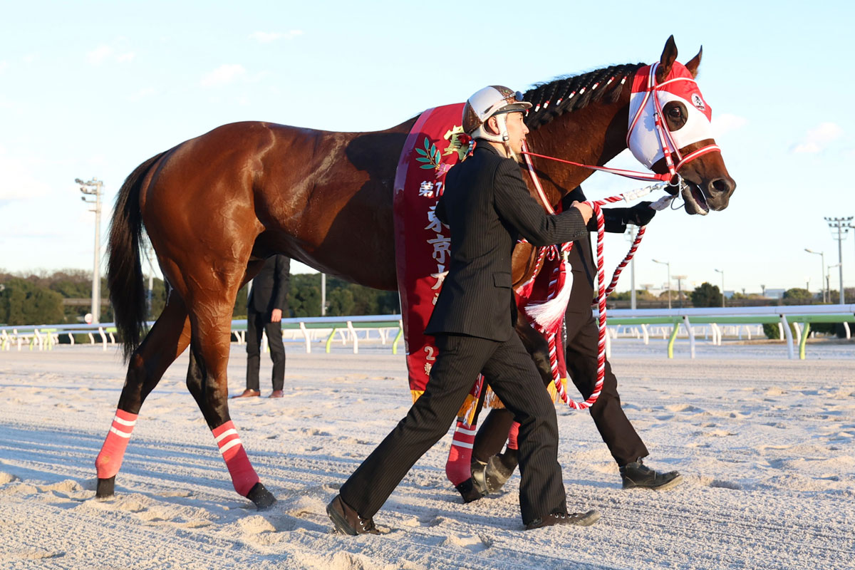 向こうの競馬よりも日本の競馬が下…」 スペシャルウィークVSエル 