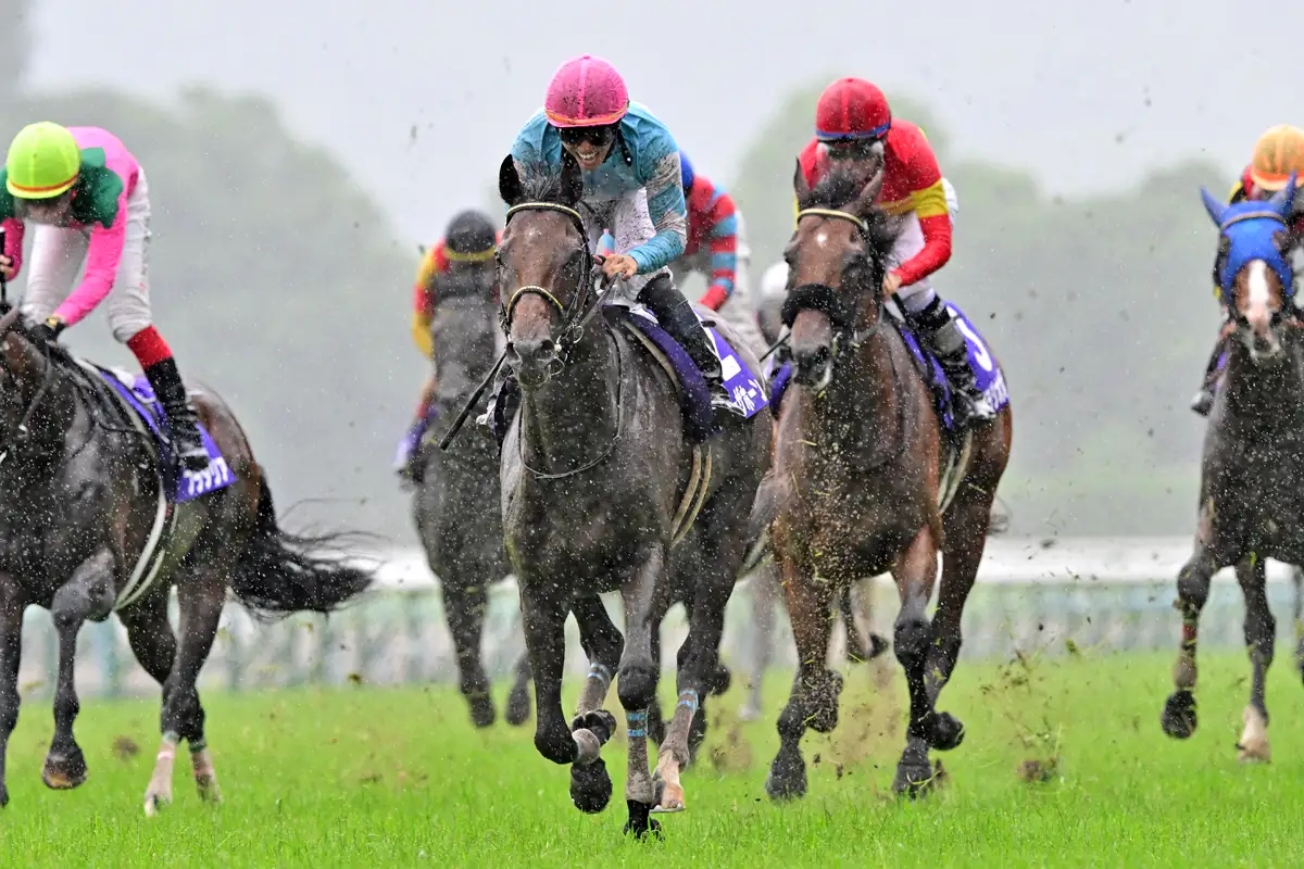 2024年格付け／古馬中長距離部門】ドウデュースが堂々のトップ