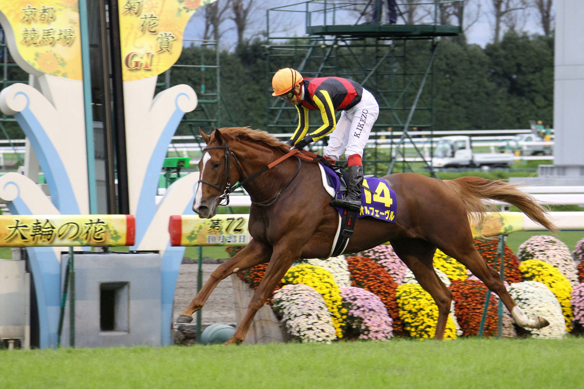 ついに実装！〝金色の暴君〟オルフェーヴルの覇道を「東スポ」で