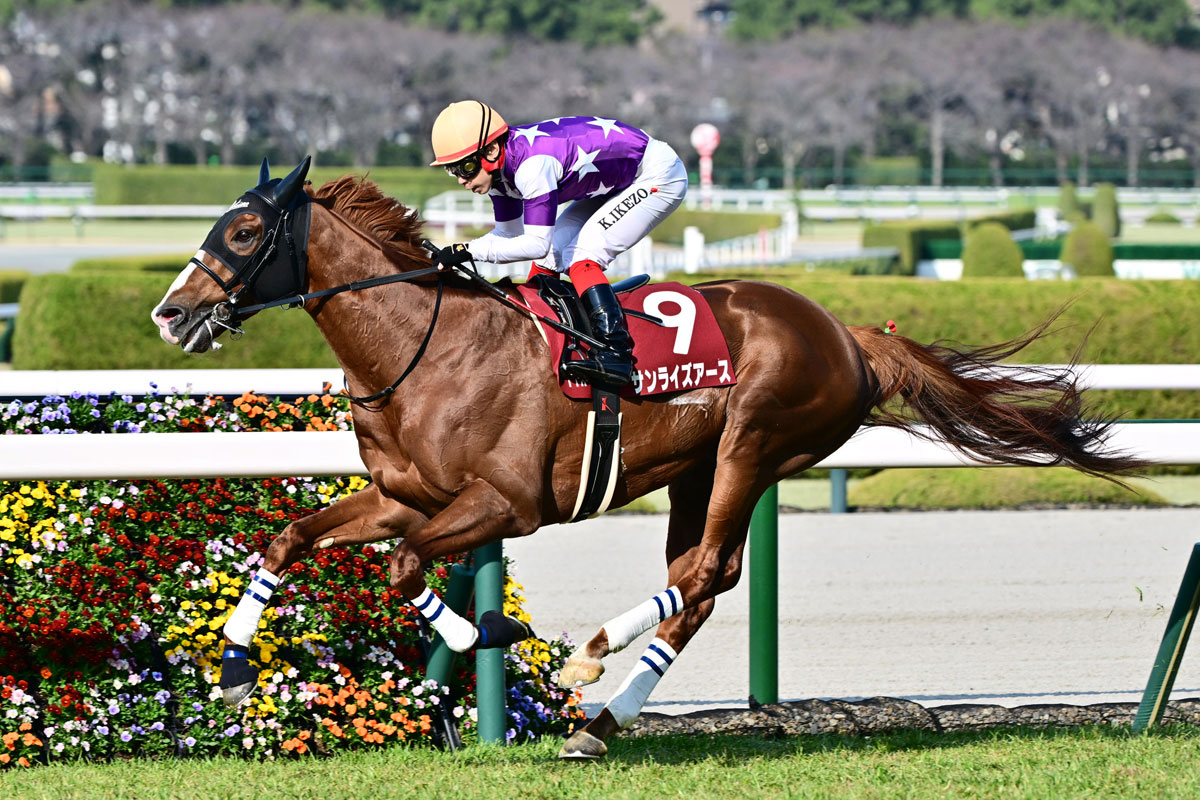 REDWING【WEEKENDER】 | JUNKY STYLE | ジャンキースタイル | ブログ