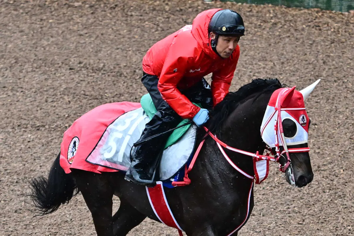 山河の月曜から一撃】皐月賞 もしもダイワメジャーが5着以下だったら
