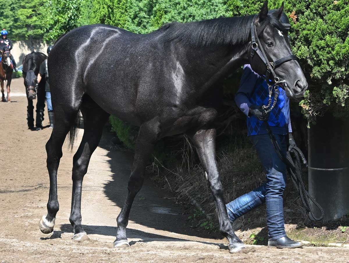 今週の注目新馬】「2歳とは思えないくらい、いい馬」宮田敬介調教師が