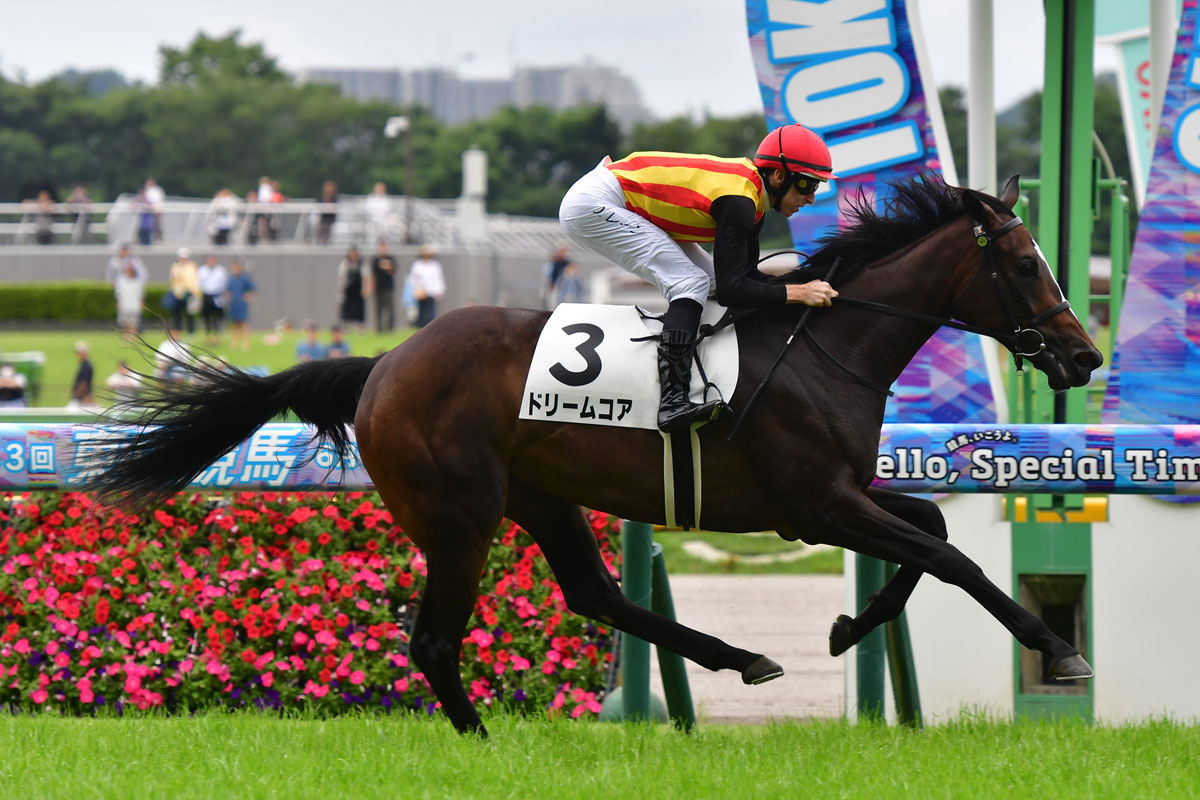 新馬勝ち馬点検】驚異的タイムで勝利のカイショーの評価は？ 血統通り