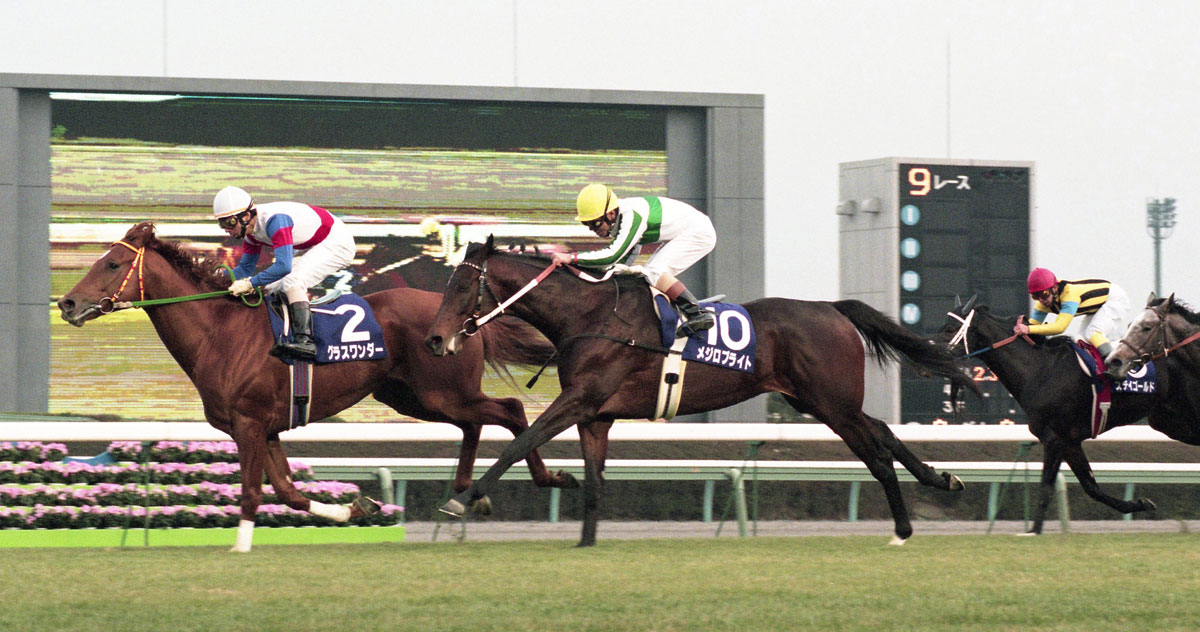 ステイゴールド 1998年 有馬記念 馬券 アンティーク コレクター品 2026年最新】有馬記念の人気商品多数！お得に見つけて購入するなら