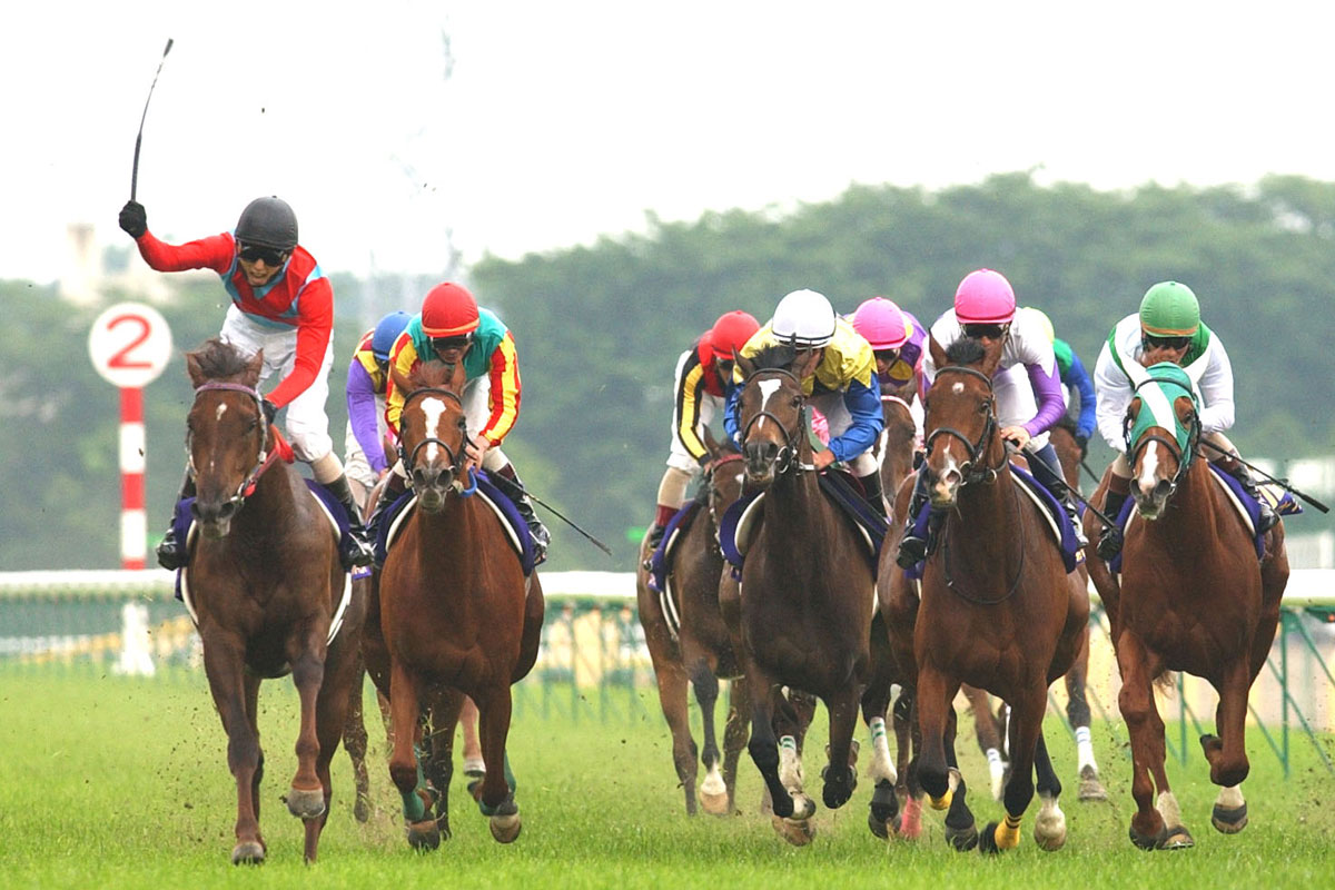 史上2頭目の3冠牝馬！スティルインラブと幸ジョッキー〝愛の軌跡〟を