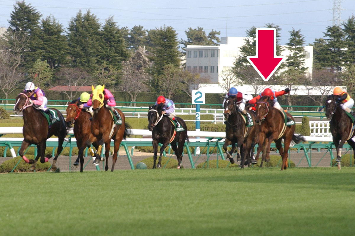史上2頭目の3冠牝馬！スティルインラブと幸ジョッキー〝愛の軌跡〟を