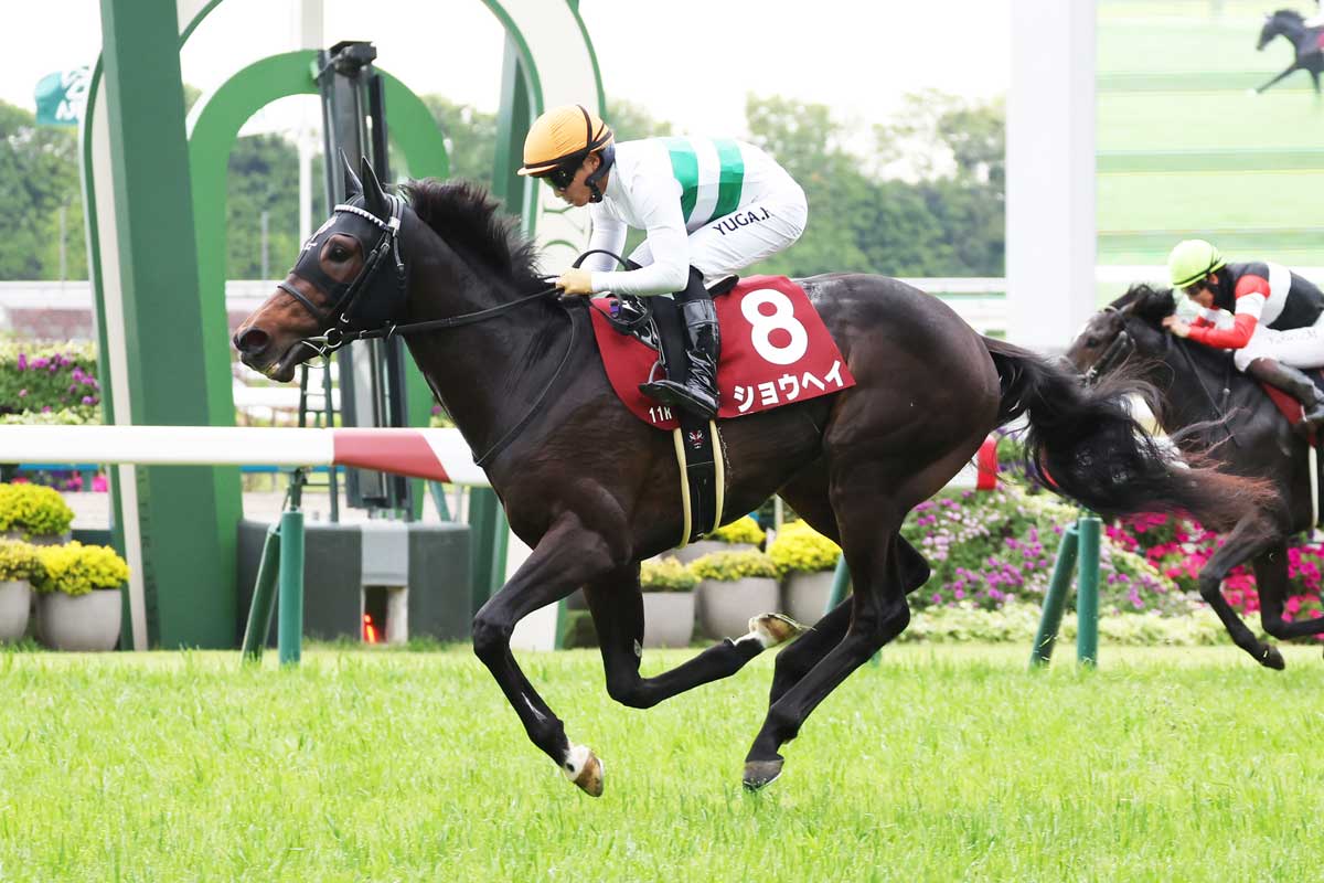 神戸新聞杯】2年ぶりの阪神開催がカギ！ダービー組の最上位評価は