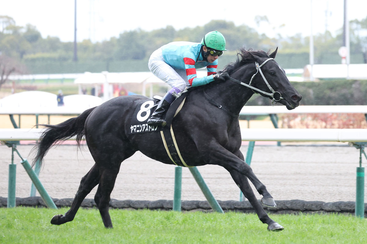 栗東坂路ラスト23秒台の鬼脚】目下推奨馬が3連勝！ 今週は唯一無二
