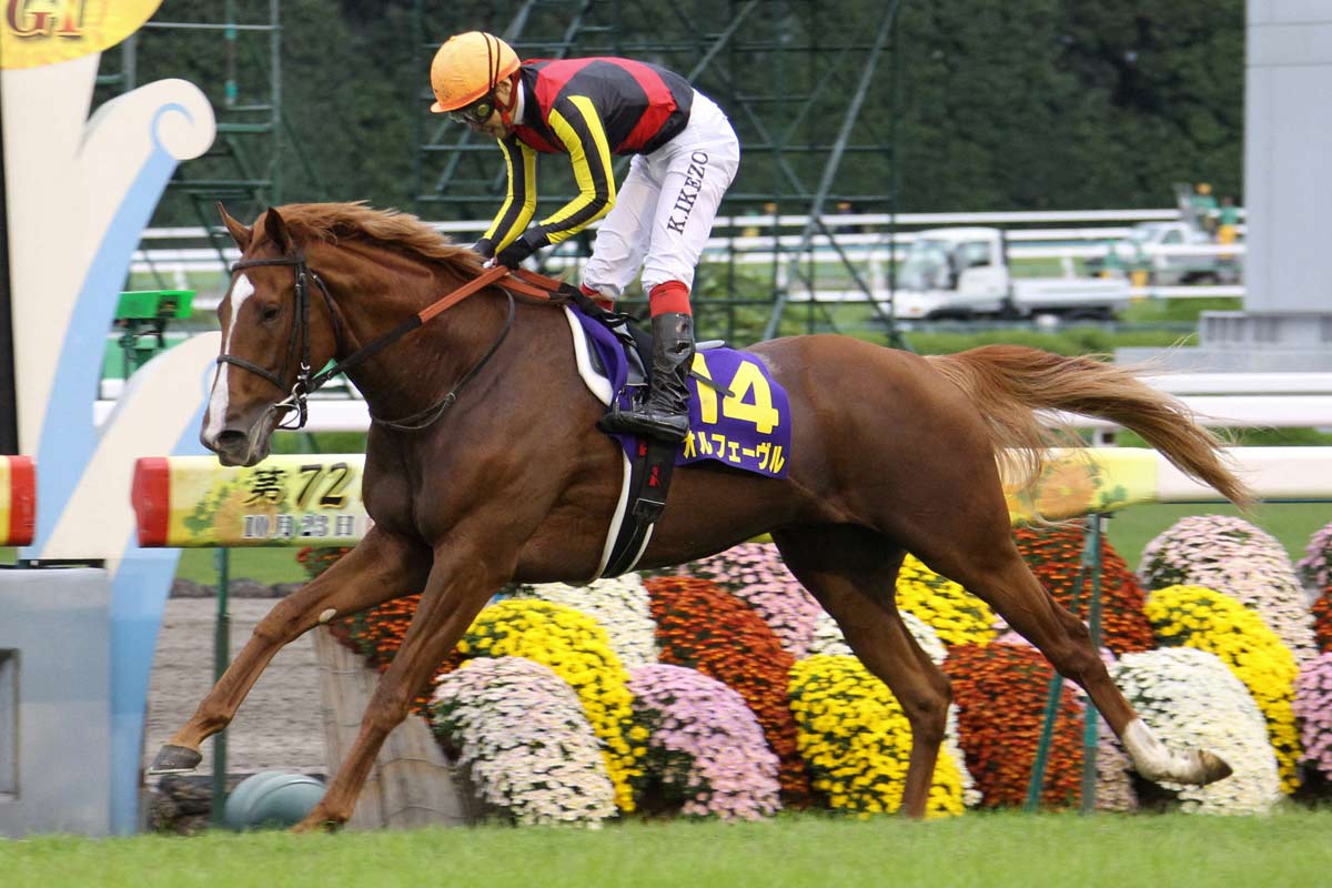 ステイゴールド連載【48＝最終回】種牡馬生活でも〝良い意味で〟裏切り