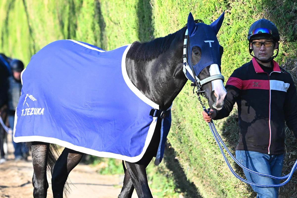 ゔ*す様 97年　第17回ジャパンカップ　14頭全馬券 ジャパンC】人気で凡走、人気薄で激走するセン馬の妙 2頭のセン馬が大