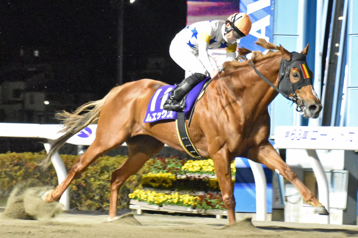 浦和】一騎打ちの様相だったSⅠゴールドカップはムエックスが勝利