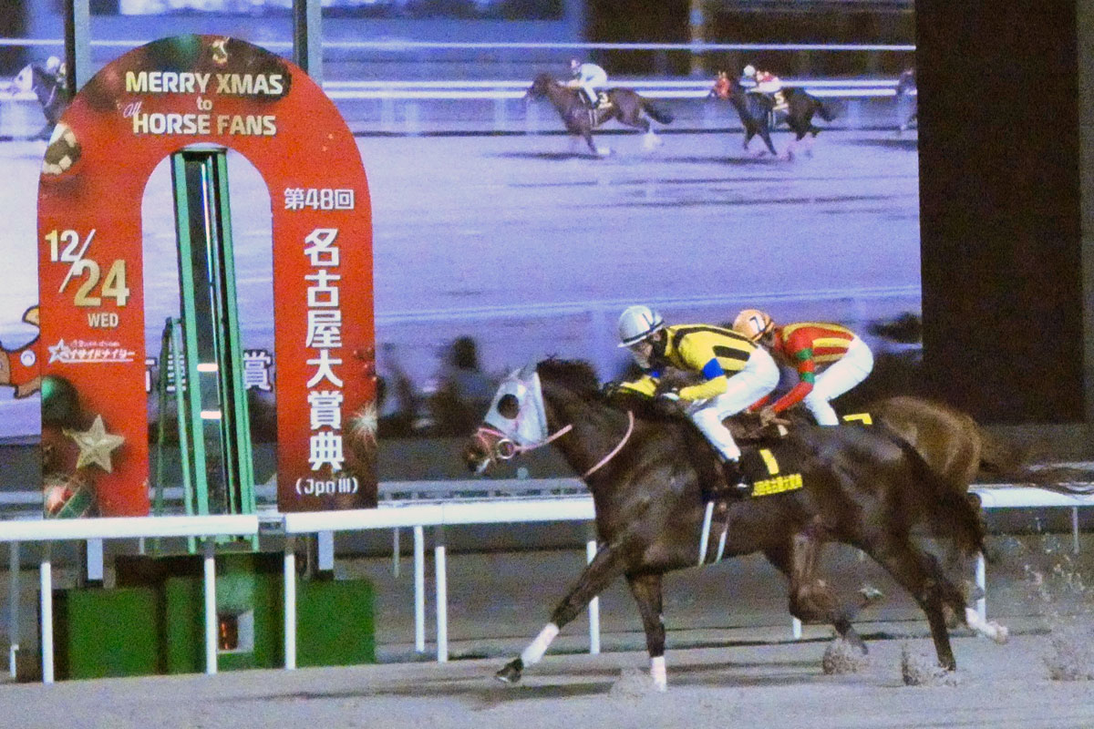 名古屋大賞典】アピーリングルックがレコード勝ち 松山「しぶとく強い