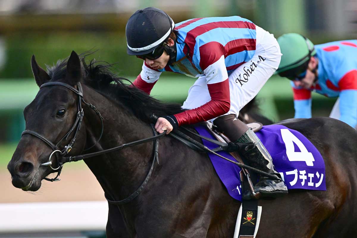 ホープフルS】キャリア1戦のロブチェンが大金星！ 新種牡馬ワールドプレミア産駒初のGⅠ制覇 | 競馬ニュース・特集なら東スポ競馬