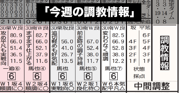 馬柱・記号を完全マスター！0-0-0-0の見方は？競馬新聞の読み方講座