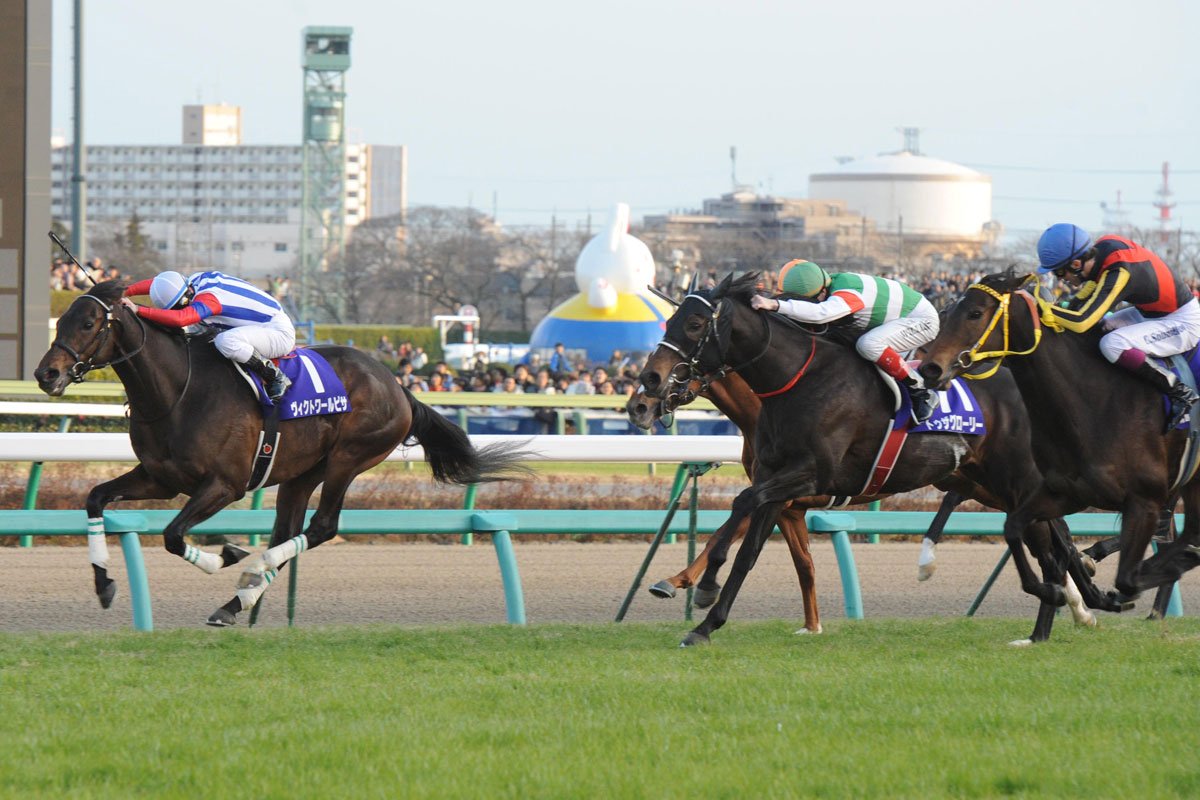 緊急連載・ヴィクトワールピサが名馬である理由①】担当記者が現役時代