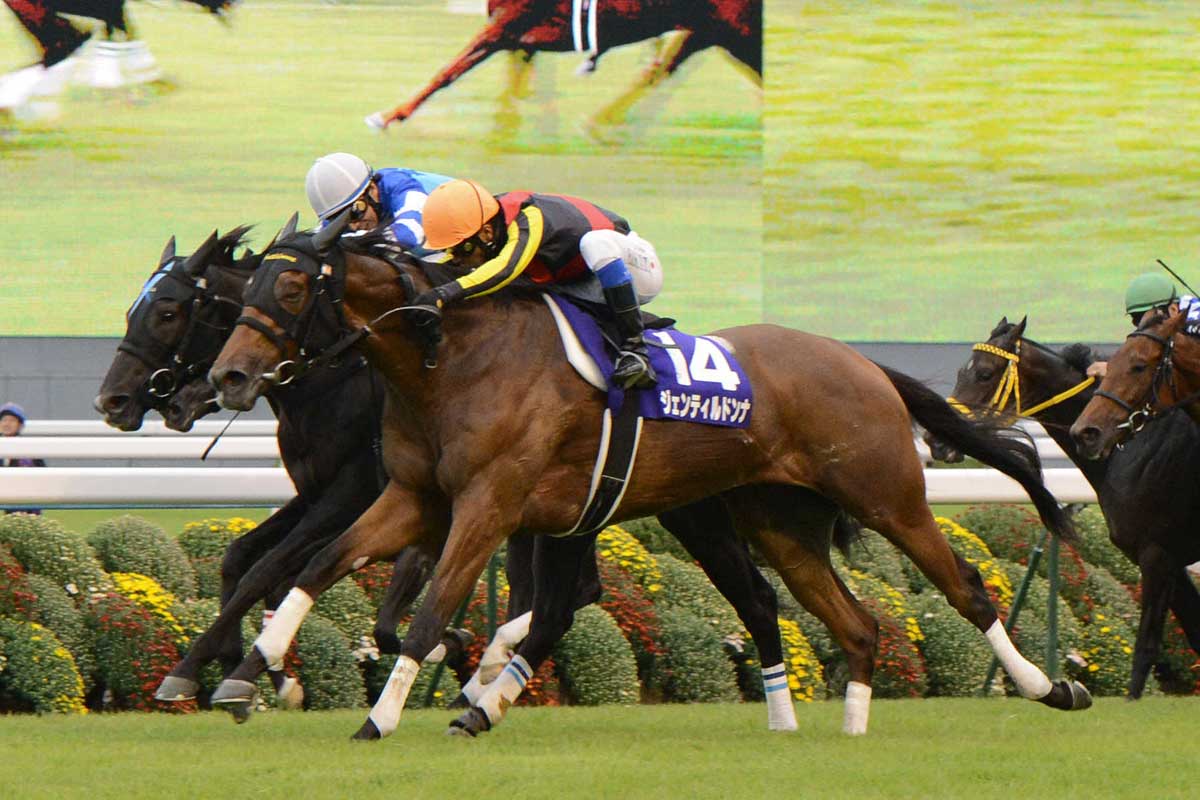 担当者がつける名馬の通信簿・ジェンティルドンナ④】3冠で最も自信が