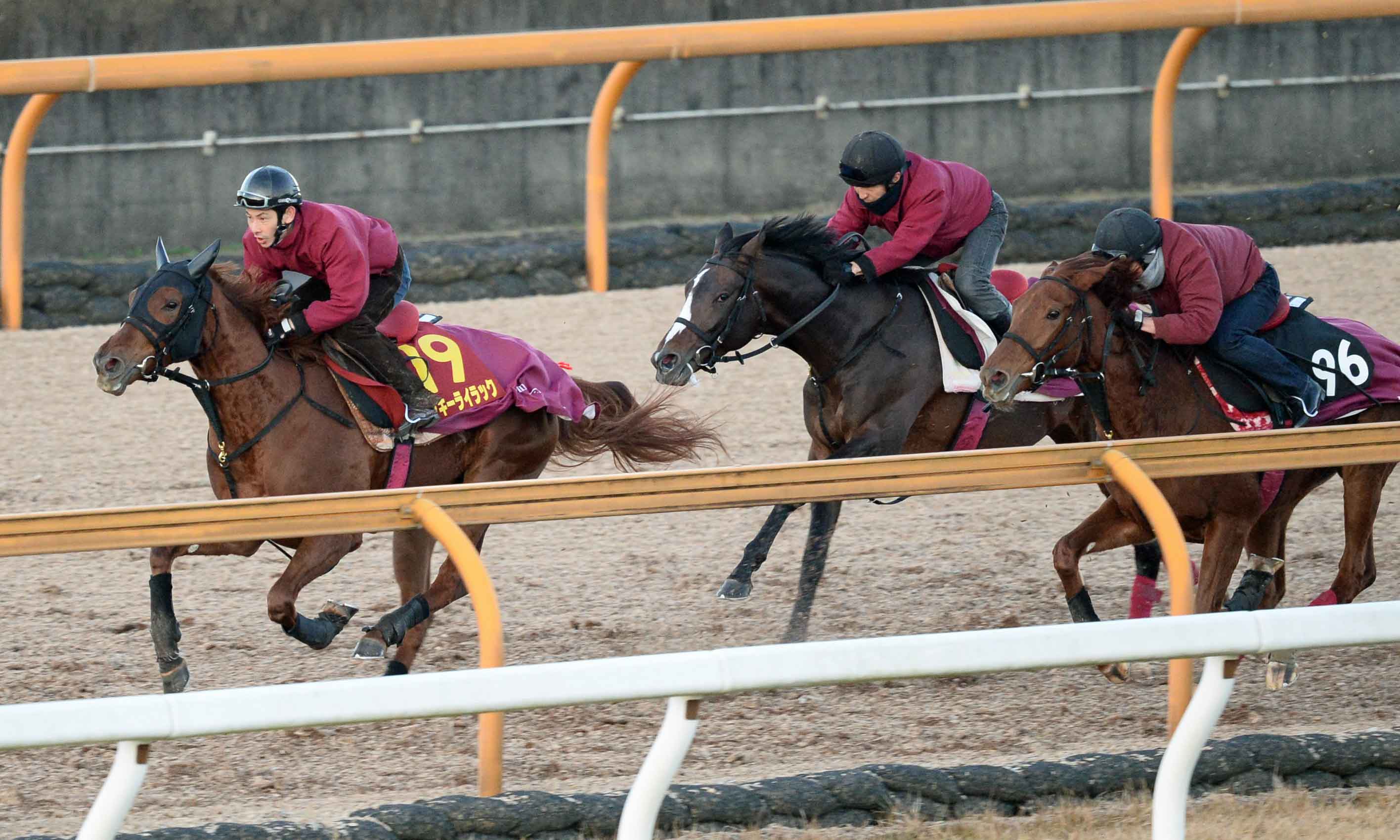 担当者がつける名馬の通信簿・ラッキーライラック②】担当者が明かす