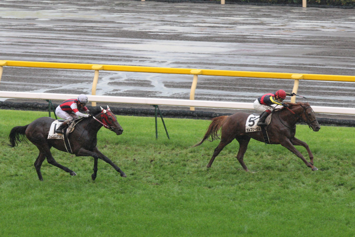 凱旋門賞直前！緊急連載・金色の3冠馬⑤】オルフェーヴル ダービー前