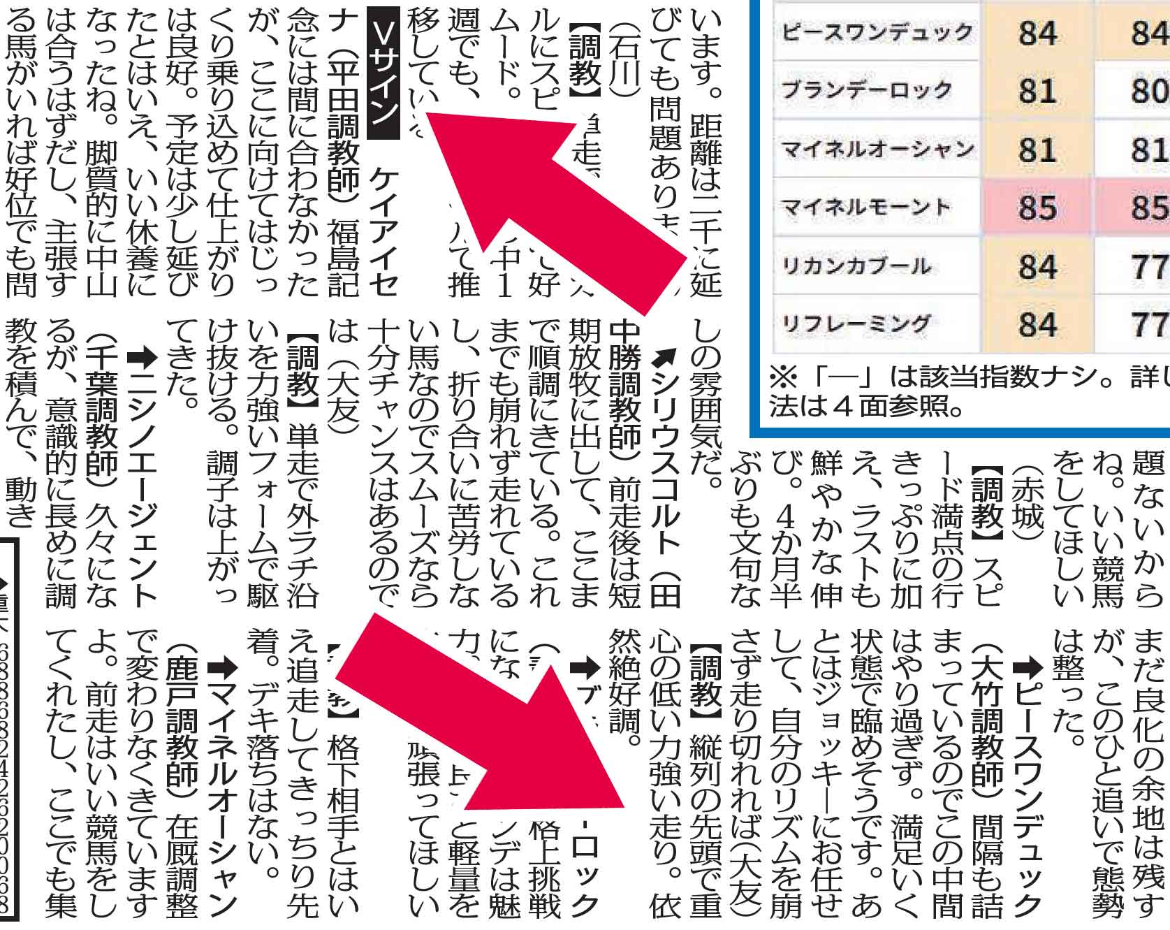 中山金杯ガイド】有馬記念から競馬を始めた初心者にもわかりやすく