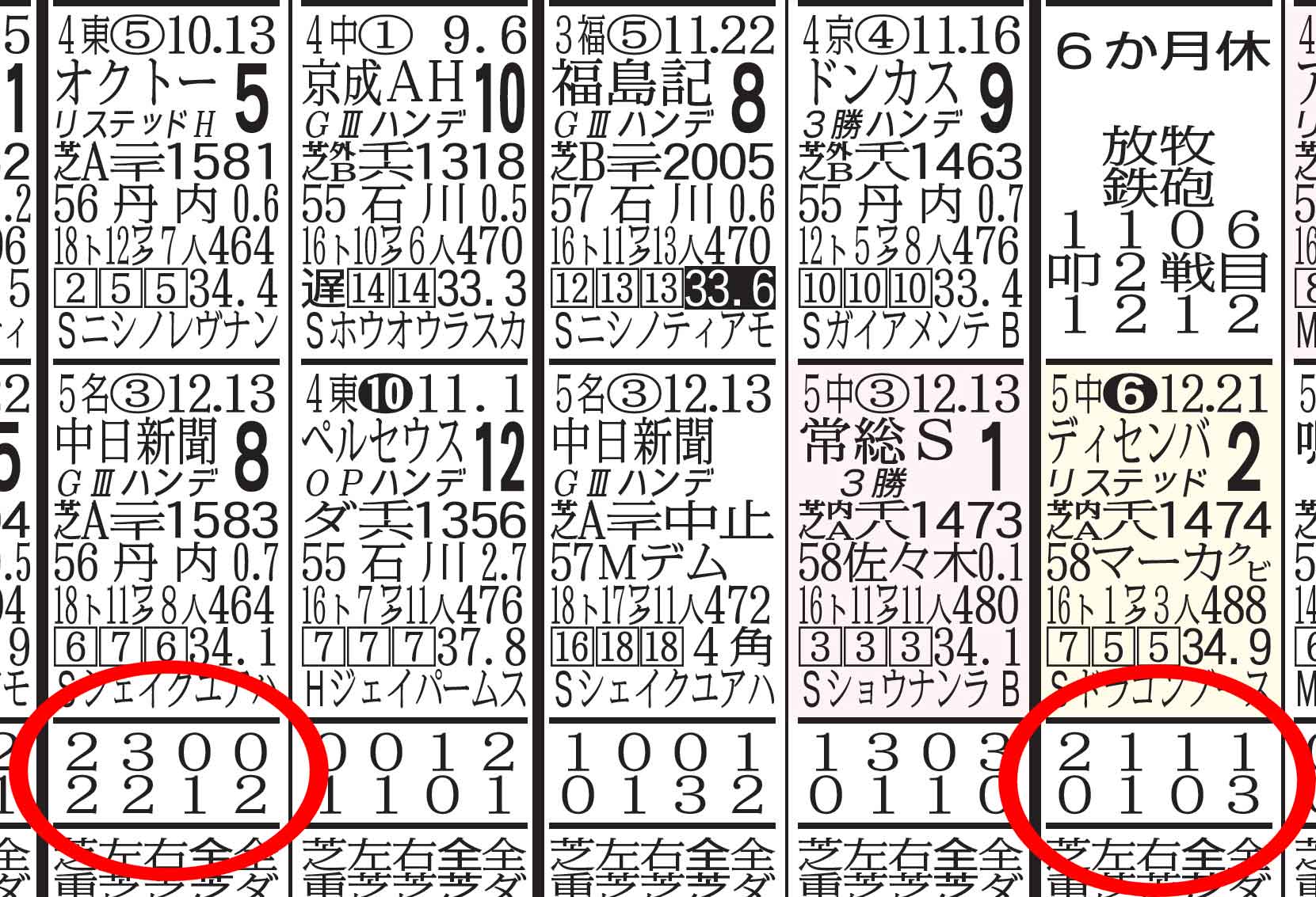 中山金杯ガイド】有馬記念から競馬を始めた初心者にもわかりやすく