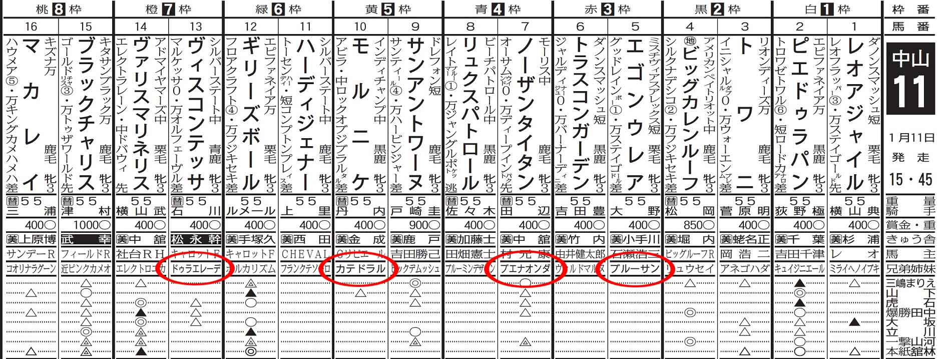 フェアリーSガイド】難しいレースをどう攻略する？競馬初心者にも