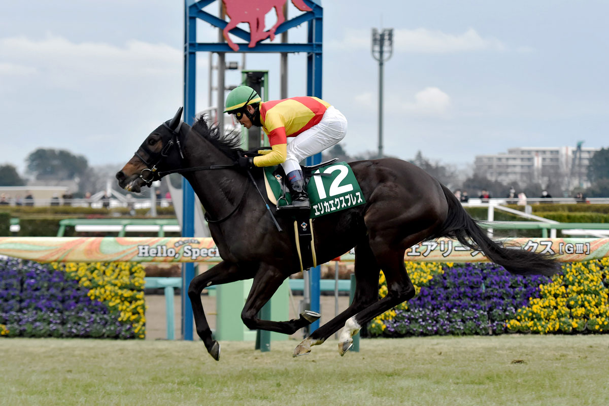 フェアリーSガイド】難しいレースをどう攻略する？競馬初心者にも