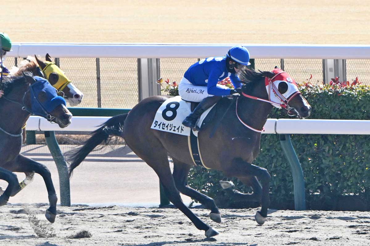 新馬勝ち馬点検】馬格も十分のパワータイプ！リアンドゥクール今後も