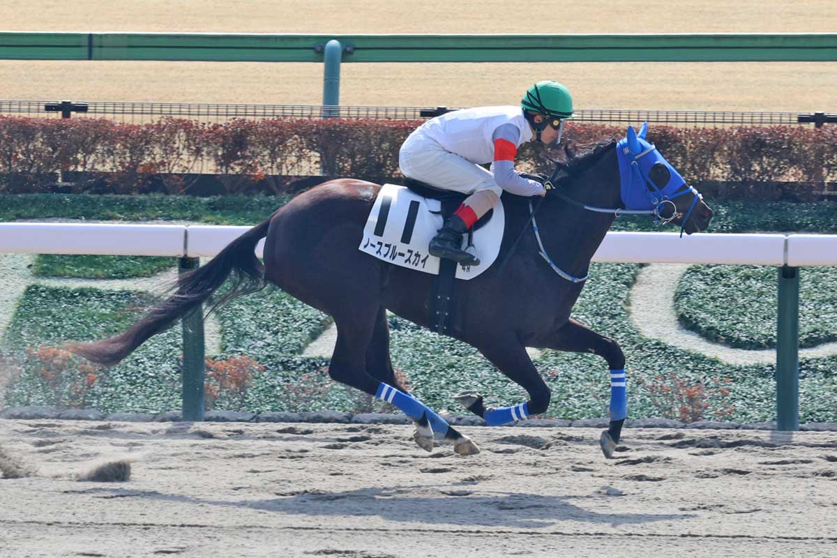 新馬勝ち馬点検】馬格も十分のパワータイプ！リアンドゥクール今後も