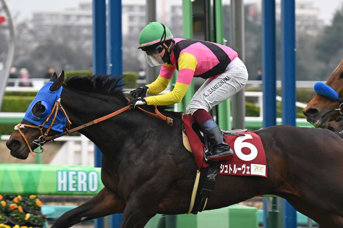 サウジカップ2026特集】出馬表PDF無料公開！ 世界一フォーエバーヤング