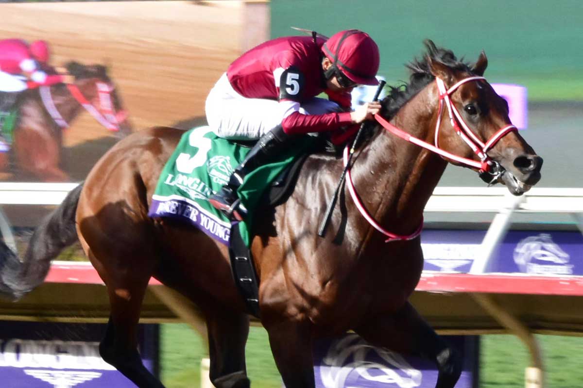 サウジカップ 2026公式プログラム サウジカップ 2026公式プログラム