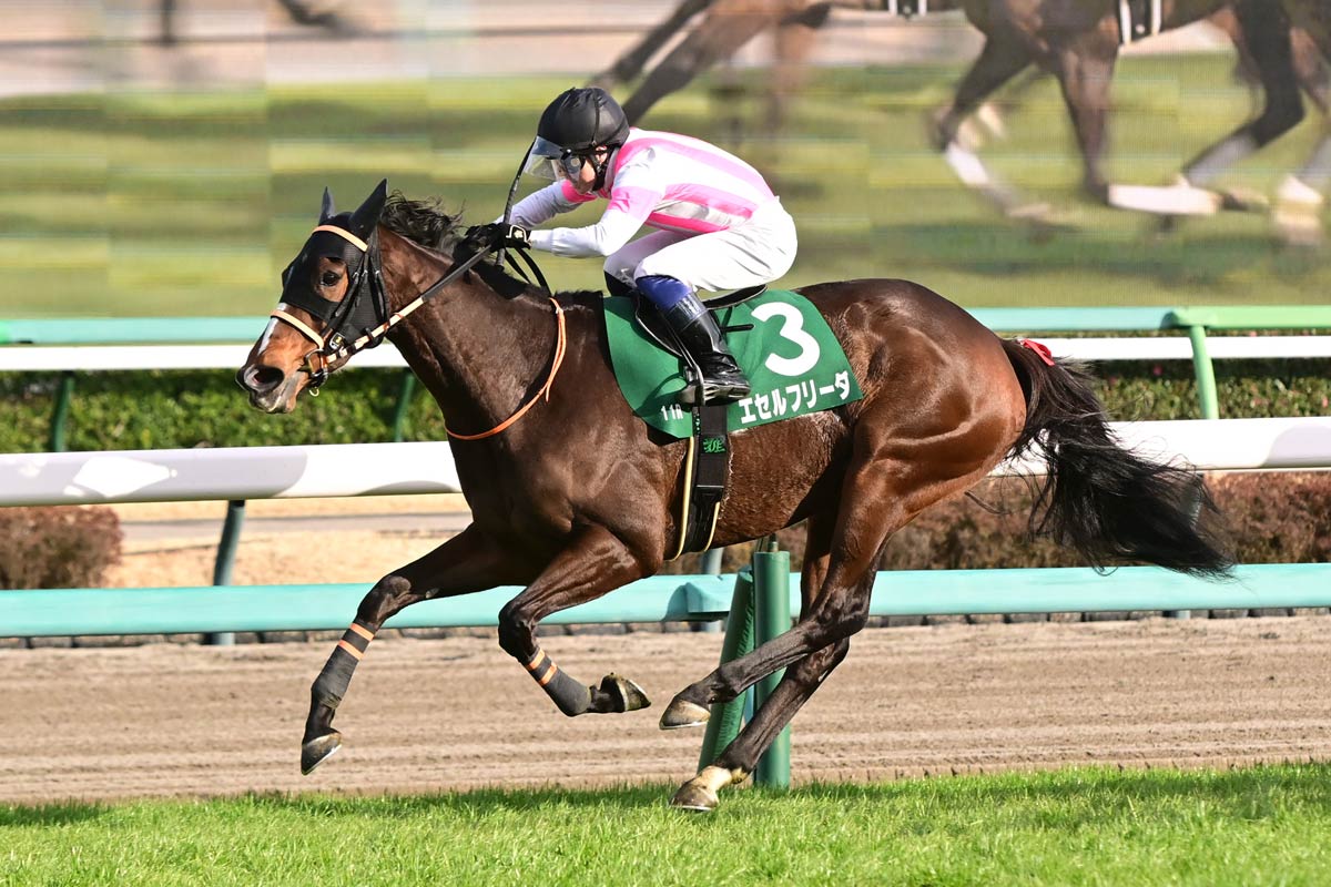 中山牝馬S】武藤雅がエセルフリーダでJRA重賞初V 父・武藤善則調教師も