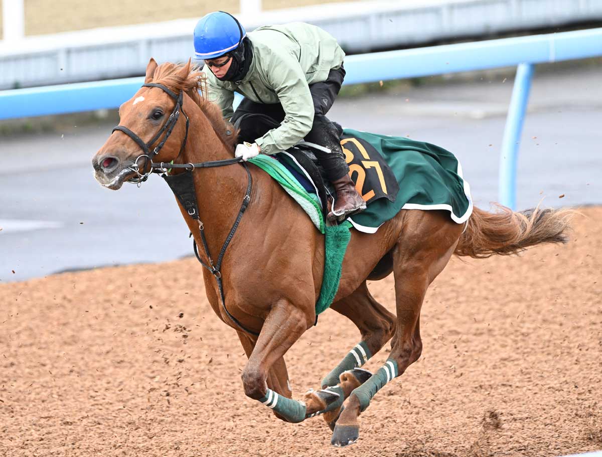 スプリングS・先取り予想】「こういう馬は走る」能力と成長力兼ね備え