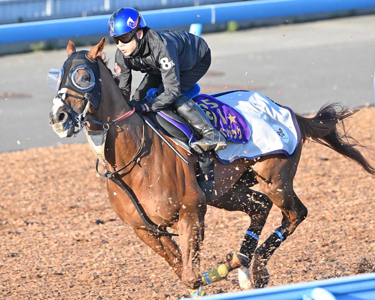 三浦皇成コラム】特徴は把握済み！金鯱賞は初騎乗アーバンシックで参戦