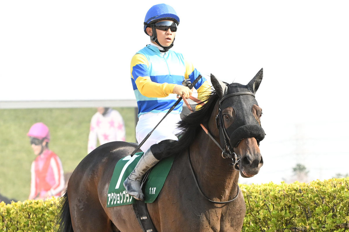 競馬の極み 【公式通販】