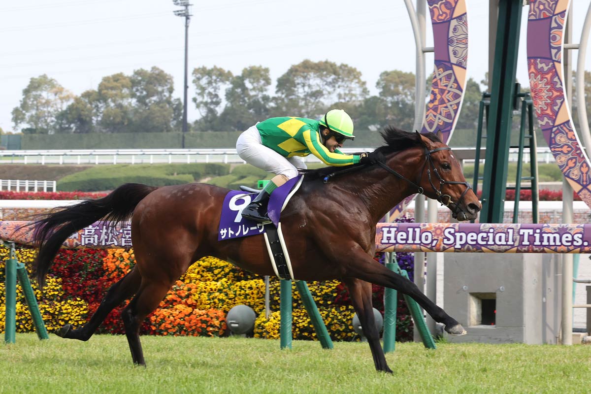 高松宮記念】サトノレーヴが15年ぶり、史上2頭目の連覇を達成 高松宮記念】サトノレーヴが15年ぶり、史上2頭目の連覇を達成