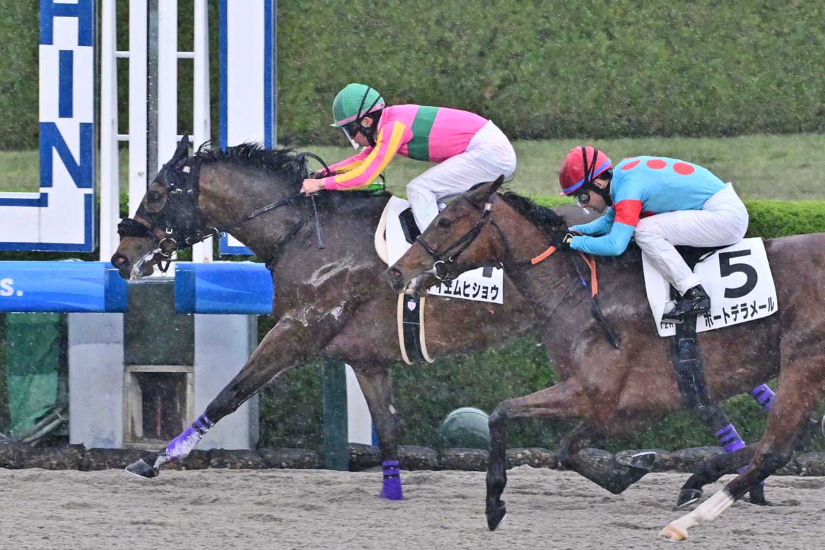 最終レースは東西ともに単勝万馬券の大荒れ！ 1986年以降で初のケース