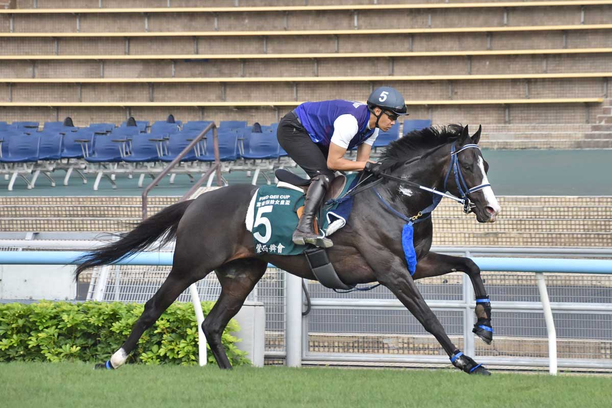 クイーンエリザベス2世C】日本馬は欧州寄りに海外馬は日本寄りに＝坂上