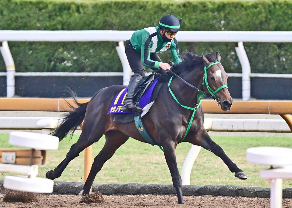 天皇賞春・先取り予想】タガノデュードが〝完全本格化〟で末脚に磨き
