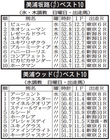 ★激珍/入手困難★美浦トレーニングセンター調教ゼッケン一覧表 トレセンパンフ トレセン調教ベスト10】好調教馬をチェック！ | 競馬ニュース・特集
