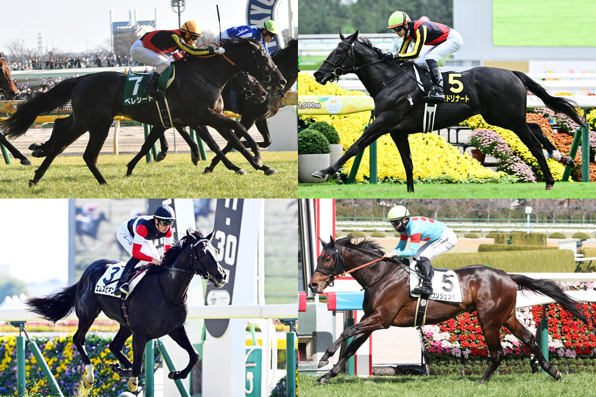 京都新聞杯展望】素質馬が〝東上最終便〟にズラリ集結！ 良血馬か高額