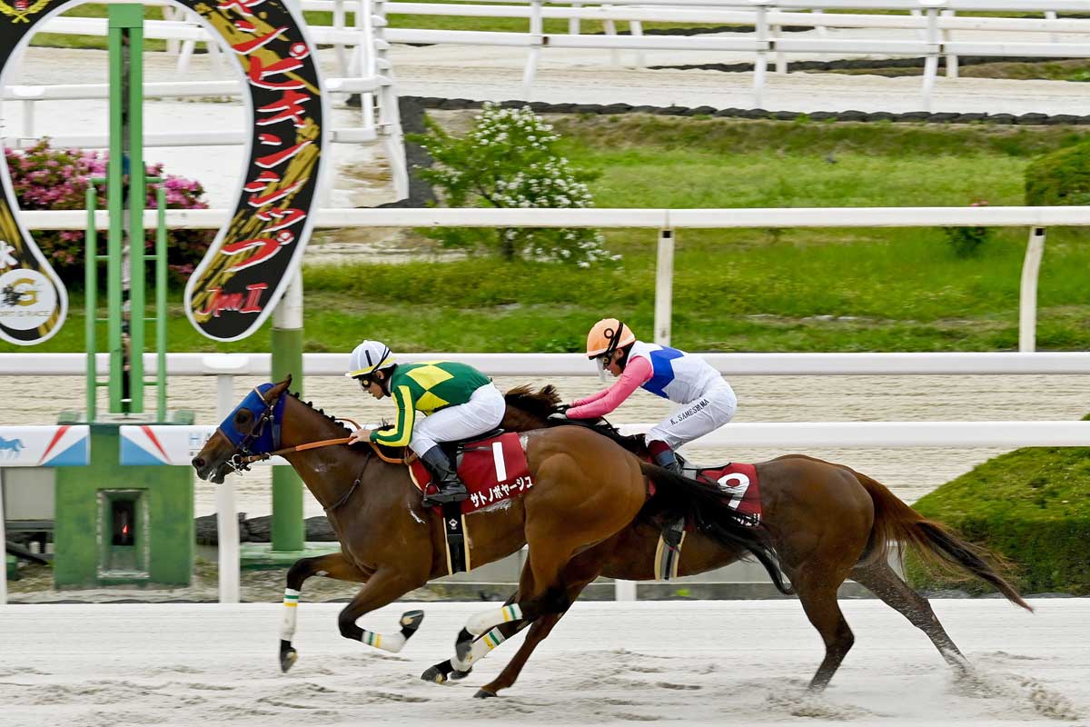 兵庫チャンピオンシップ】サトノボヤージュが貫禄勝ち 戸崎圭「乗り